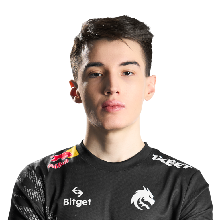 CoLLapse Player Sticker – TI 2022